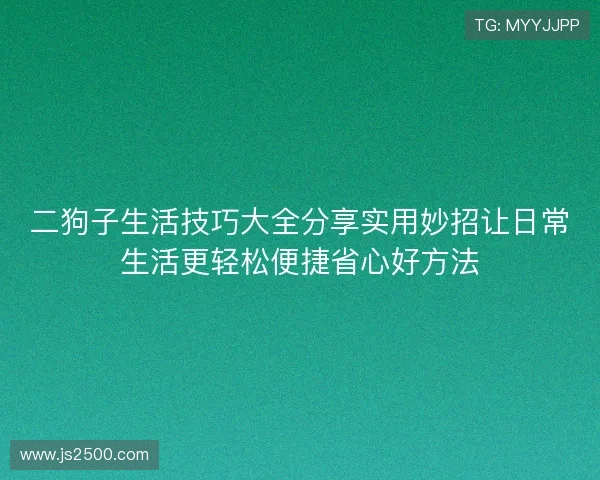二狗子生活技巧大全分享实用妙招让日常生活更轻松便捷省心好方法
